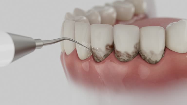 Reliable Dental contractor in Edgefield, SC by Dentist Open Now